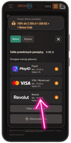 Pierwsza wpłata w PLN w kasynie Neon54 – dostępne metody płatności: PlayID, Visa/Mastercard, Revolut